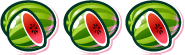 watermelon watermelon watermelon