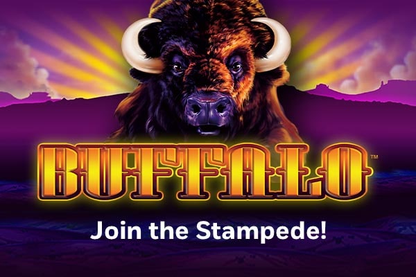 Buffalo