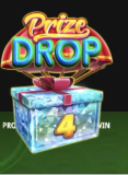 faq 2