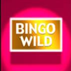 Bingo Wild