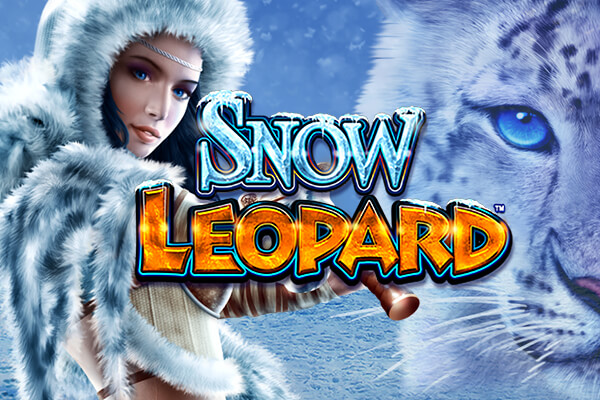 Snow Leopard