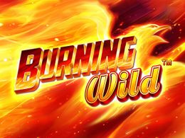 Burning Wild Logo