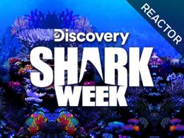 Shark Week Logo