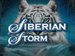 Siberian Storm Logo