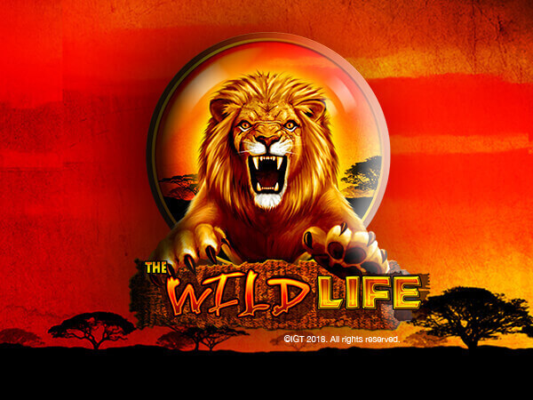 The Wild Life Tile