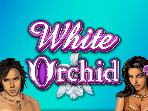 White Orchid