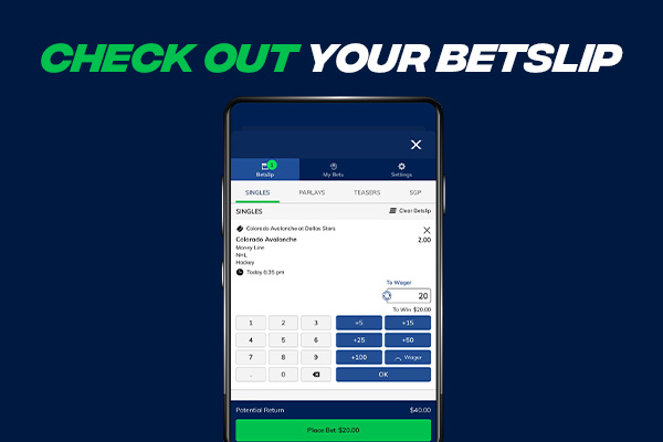 Betslip Information
